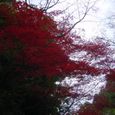 Dsc02444